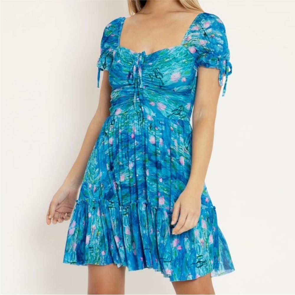 ISO: BLACKMILK PINK WATER LILIES SHORT TEA PARTY
DRESS - LIMITED
